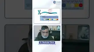 Inheritance of Duchenne Muscular Dystrophy (DMD) | Genetics Explained by Dr. Ravinder Dimri