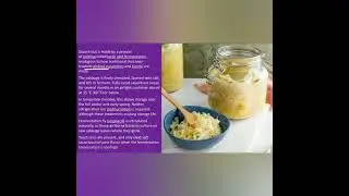 SAUERKRAUT FERMENTATION AND INDUSTRIAL PROCESS 