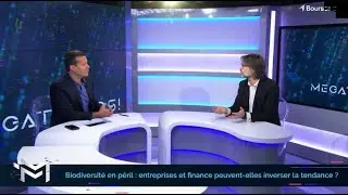 Biodiversité en péril : entreprises et finance peuvent-elles inverser la tendance ?