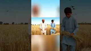 Random Lifestyle Moments | AI Generated Stories & Narration #shorts #ai