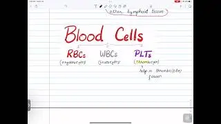 LEC1 ON BLOOD(HAEMATOLOGY) BY BASUDEV POKHAREL SIR