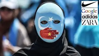Chinese Muslims in Concentration Camps