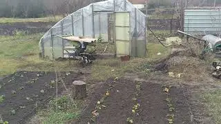 Transformation in the vineyard in 2025.