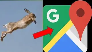 I found a flying rabbit in Google map