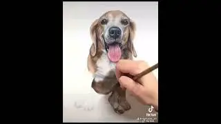 Ralph the Beagle 🐶✍🏻 #dog #beagle #pup #art #artist #wip