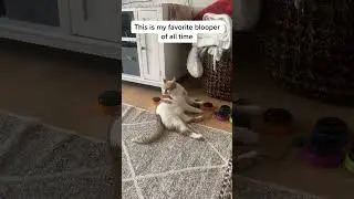 My Favorite Button Blooper