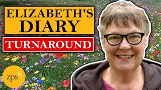'How To Have A Wonderful Life' Elizabeth's Diary 4 - Turnaround
