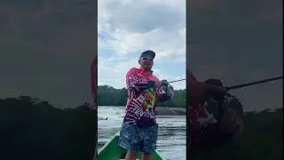 Ca&ntilde;o Boc&oacute;n in Colombia is a place to catch monsters and relax #colombia #fishing #fish #peacockbass