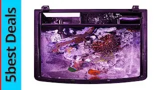 5 Best Fish Tank Of 2023
