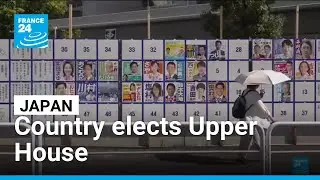 Japan heads to the polls for Upper House elections &bull; FRANCE 24 English