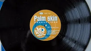 Palm Skin Productions - The Sunlight On The Garden (vinyl)
