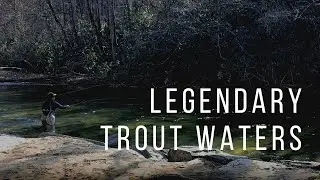 Davidson River Fishing Adventure | Brown Trout on the Fly on the Davidson River, NC