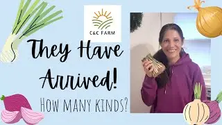 First time ordering onion starts #onion #plant #seed #homestead #homesteading #spring #vegetables