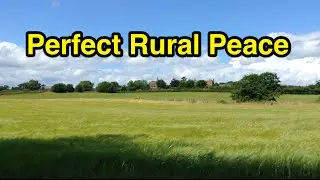 Grass Like Waves on the Sea: A Moment of Rural Peace