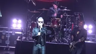 MEN WITHOUT HATS 