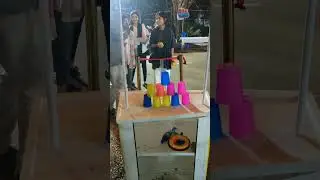 Game activities #events #iit #publicgames #publicreaction #audiance   #chennaievent #justproveit