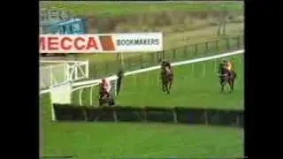 1989 Roux Restaurants Tolworth Hurdle
