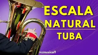 COMO TOCAR AS NOTAS MUSICAIS NA TUBA | A escala natural na tuba em dó, tuba em sib e tuba em mib