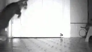 Remote Controlled door-scratching-cat repellent water cannon