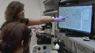 University of Minnesota team working to unlock biological mysteries