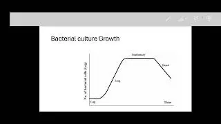 The fifth lecture of Bacteriology 