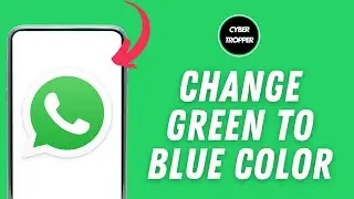 How To Change WhatsApp Green Color To Blue On iPhone