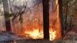 California fires destroy structures, force residents to flee