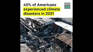 climate disaster 🍓❤