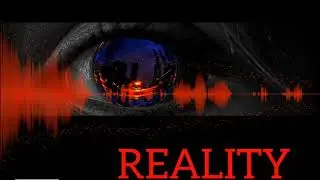 REALITY