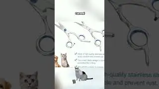 Precision Grooming ✂️🐶 | Curved Pet Scissors! 🐱✨