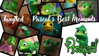 Tangled - Pascal's Best Moments