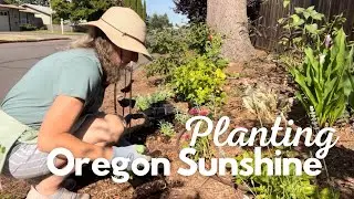 Planting Oregon Native plant & Lisianthus flowers ￼