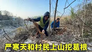 曾经用来保命的山货，现在变着花样吃，看完涨知识【乡野志刚】