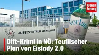 Gift-Krimi in N&Ouml;: Teuflischer Plan von Eislady 2.0 | krone.tv NEWS