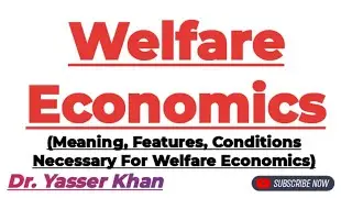 Welfare Economics |  Welfare Economics Explained | Pareto Optimality | Economics | Microeconomics