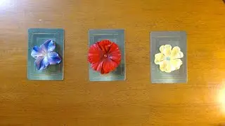 NO CONTACT-WHAT ARE THEY THINKING *Pick a card*