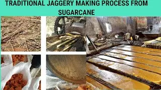 TRADITIONAL JAGGERY MAKING | Jaggery Making Process from Sugar Cane | MAKING OF JAGGERY STREET FOOD