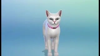 Sims 4 - CAS - Cats The Musical - Victoria | Izzy's Cosy Gaming Club
