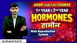 Hormones of Male Reproductive System | नर प्रजनन तंत्र के हार्मोन | AHDP 1st & 2nd Year