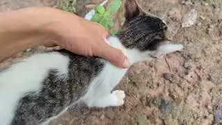 😻🌱