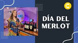 ¿Qué es el #merlot? 🍇⁠