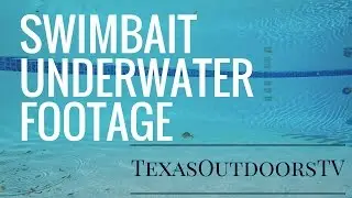 Swimbait Underwater Video and Review (H2O XPRESS 4.5
