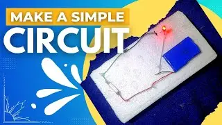 Science Project for Class 6: How to Make a Simple Electric Circuit