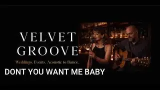 DONT YOU WANT ME BABY COVER BY VELVET GROOVE