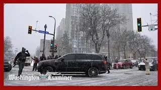 Министерство внутренней безопасности заявляет, что отель Hilton намеренно отменил бронирование но...