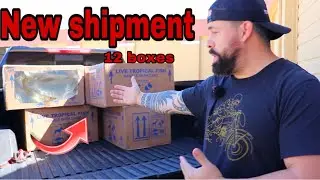 *UNBOXING* NEW TROPICAL FISH SHIPMENT FROM COLOMBIA part 1