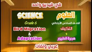 هجرة الطيور والتكيف | علوم الصف السادس الابتدائي | Bird Migration and Adaptation - Grade 6 Science