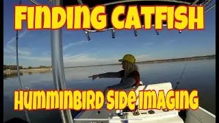 Tips on finding Blue Catfish on Side Imaging 