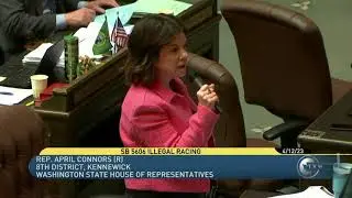 Rep. April Connors calls on House to do more on public safety, law enforcement recruitment