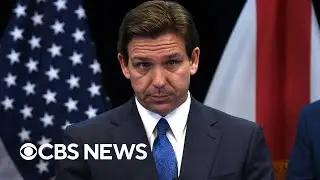 Disney sues Florida Gov. Ron DeSantis over 